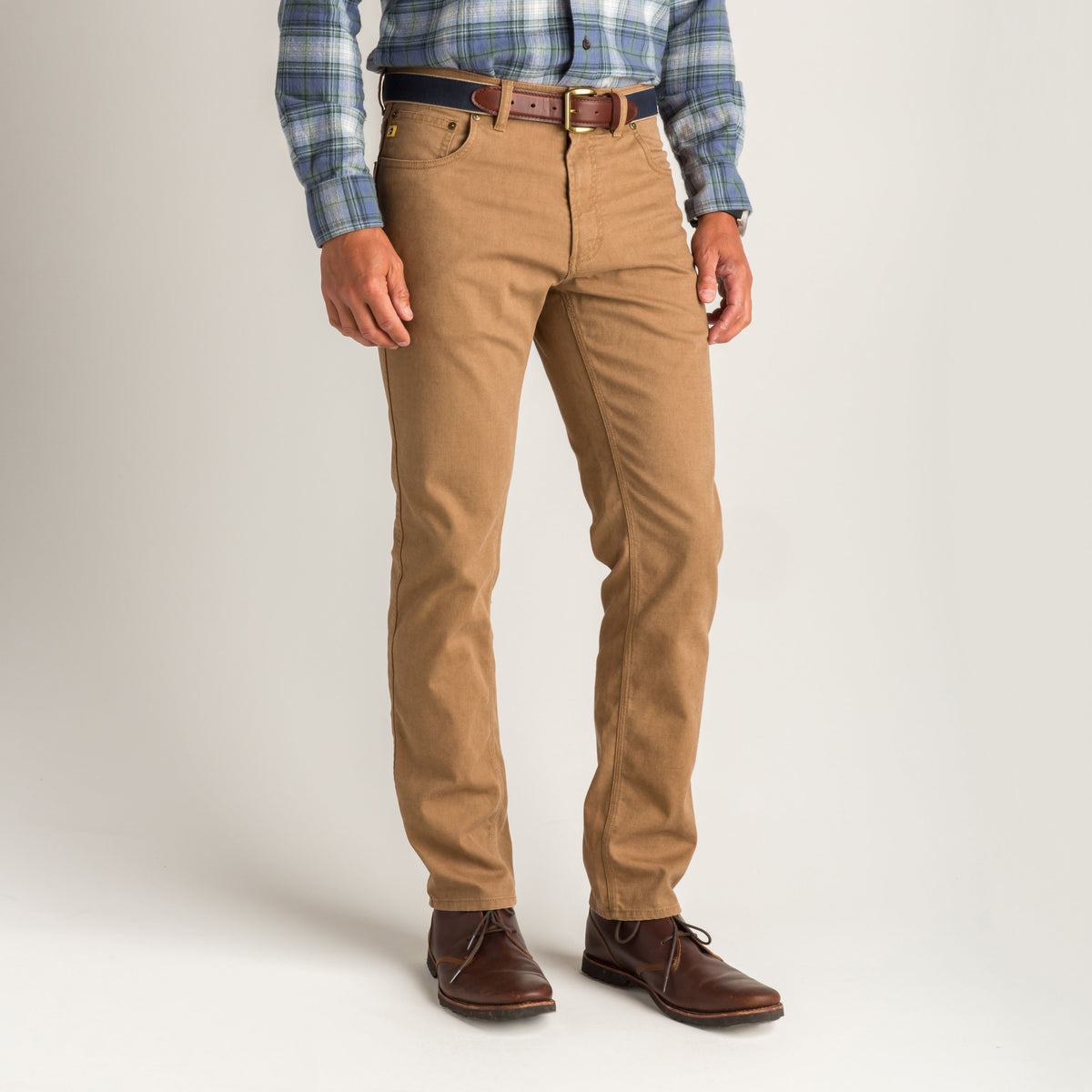 Buckskin featured
