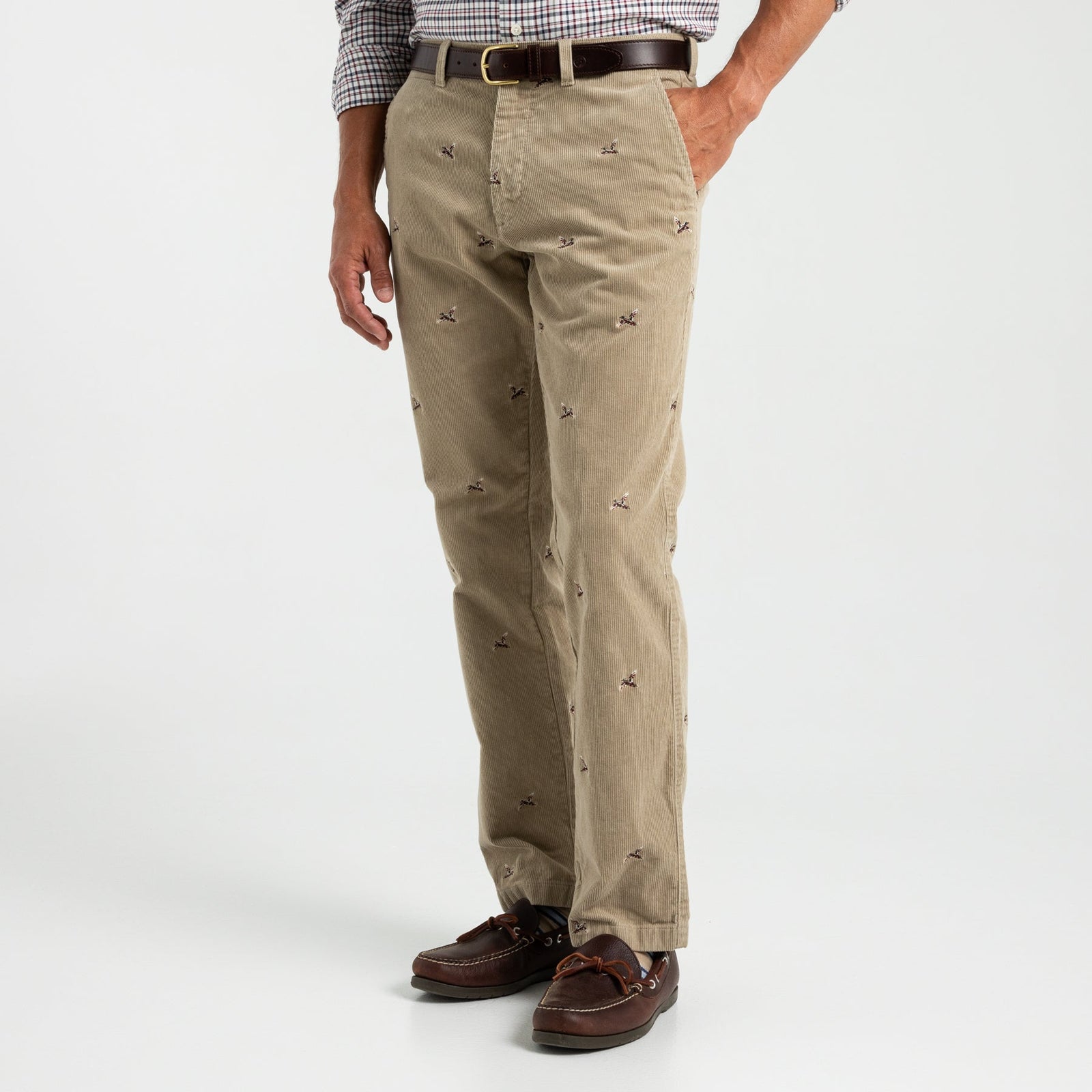 Classic Fit Gold School Chino - DEV